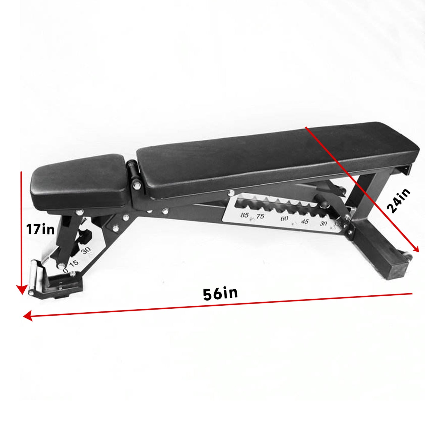 Adjustable Weight Dumbbell Bench Incline Decline Workout Exercise 1000LBS